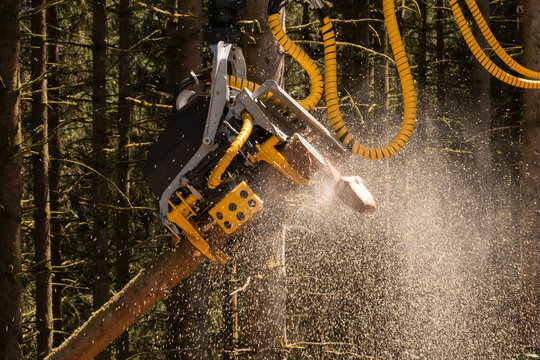 Harvester arbeitet im Wald