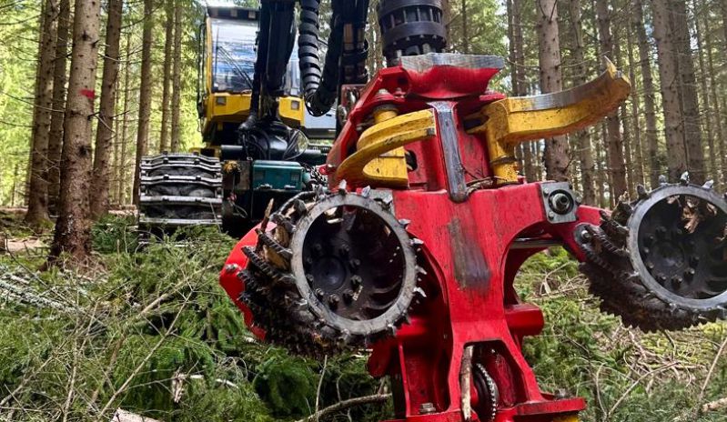 Harvester arbeitet im Wald